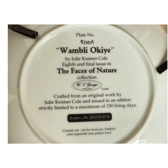 Julie Kramer Cole The Faces of Nature Wambli Okiye 1993 Collector Plate - Picture 3 of 5